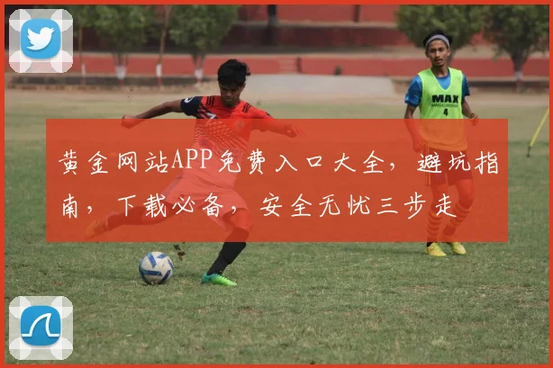 黄金网站APP免费入口大全，避坑指南，下载必备，安全无忧三步走
