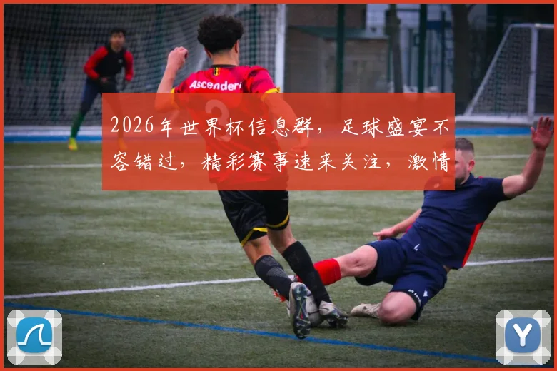 2026年世界杯信息群，足球盛宴不容错过，精彩赛事速来关注，激情共享
