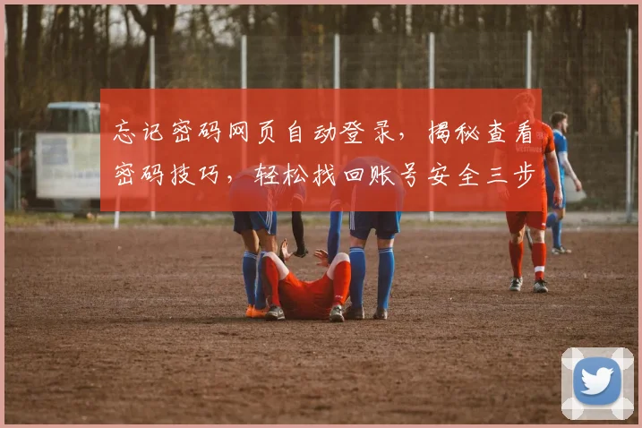 忘记密码网页自动登录，揭秘查看密码技巧，轻松找回账号安全三步曲